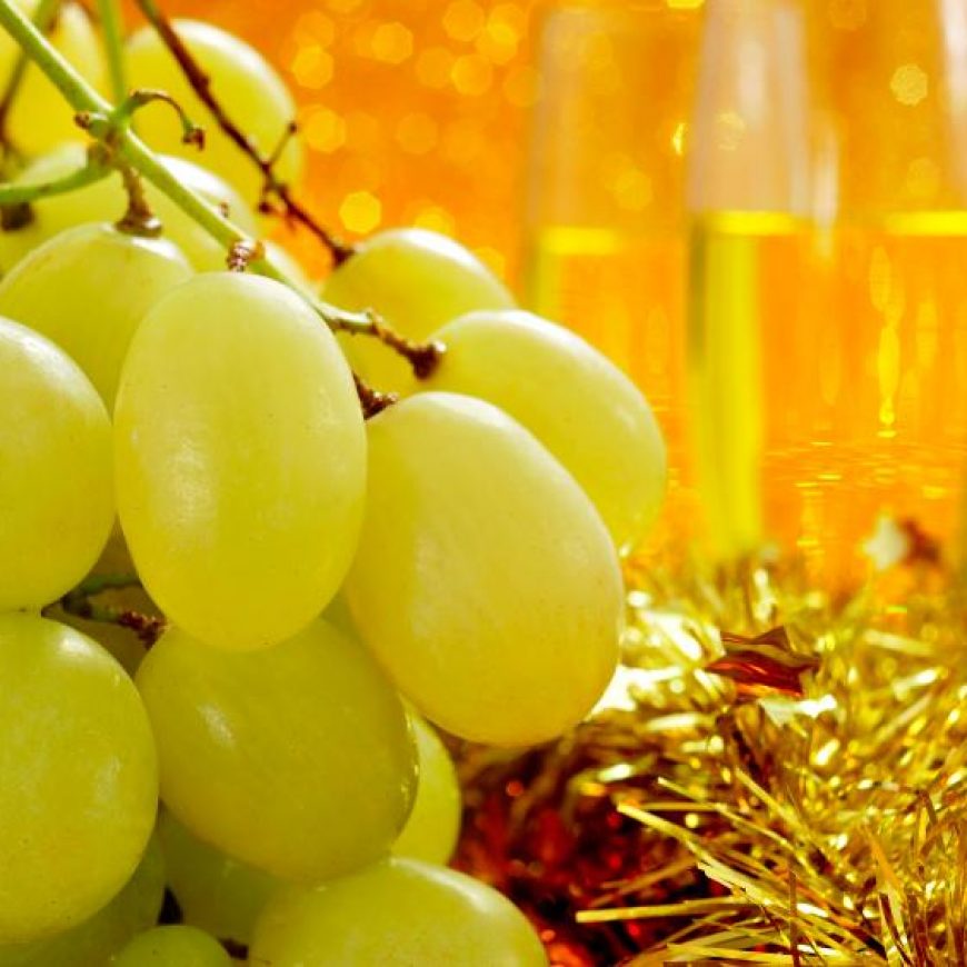Vinalopo Table Grape Exporters